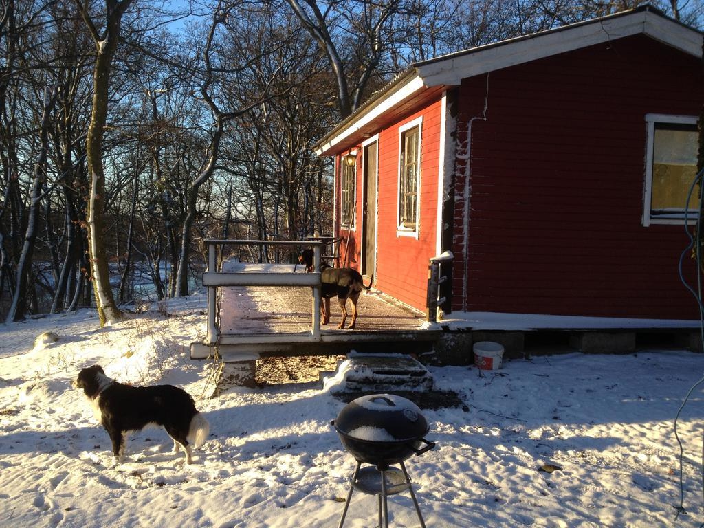 Farm Stay Happy Dogs Ranch Veberöd Exteriör bild